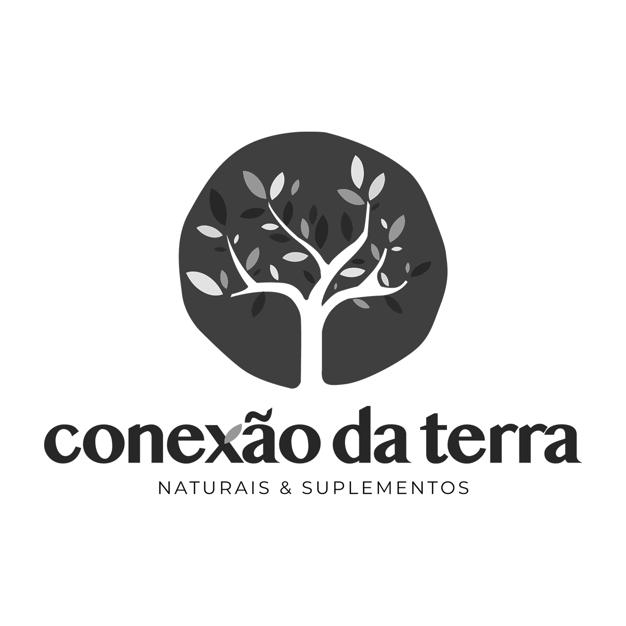 Conexão da Terra